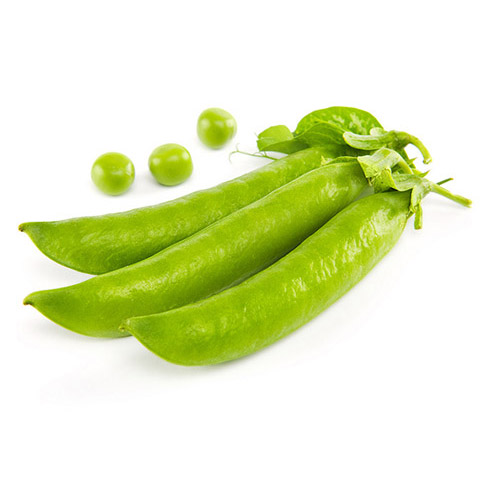 Bean